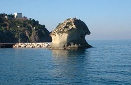 Il Fungo Lacco Ameno